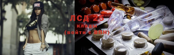 стаф Белоозёрский