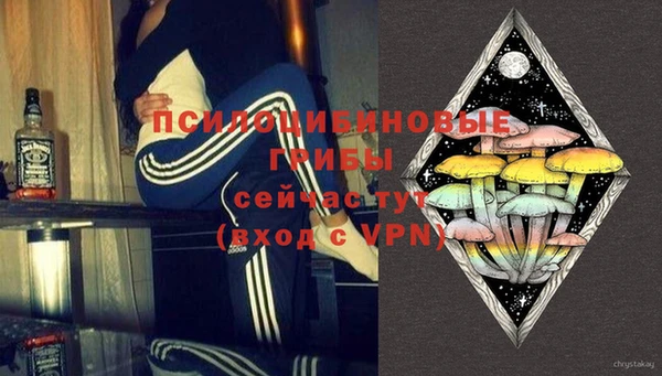 стаф Белоозёрский