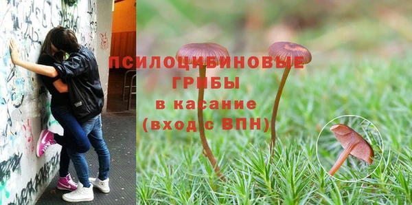 Альфа ПВП Белокуриха