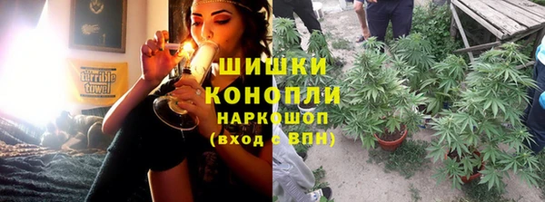 Альфа ПВП Белокуриха